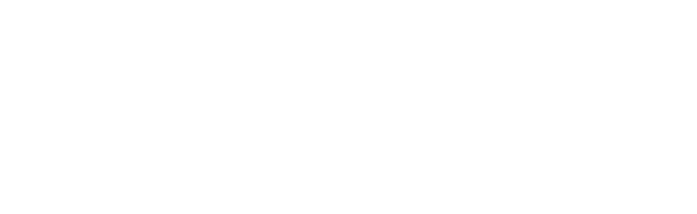 Logo Rhizome IT — Horizontal · blanc