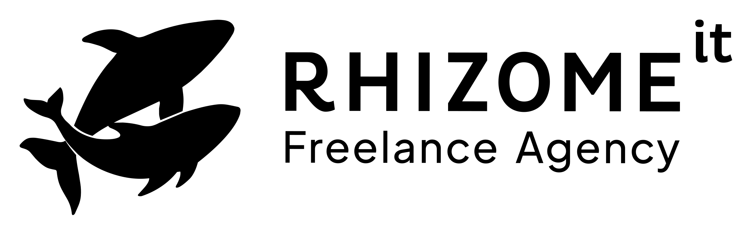 Logo Rhizome IT — Horizontal · noir