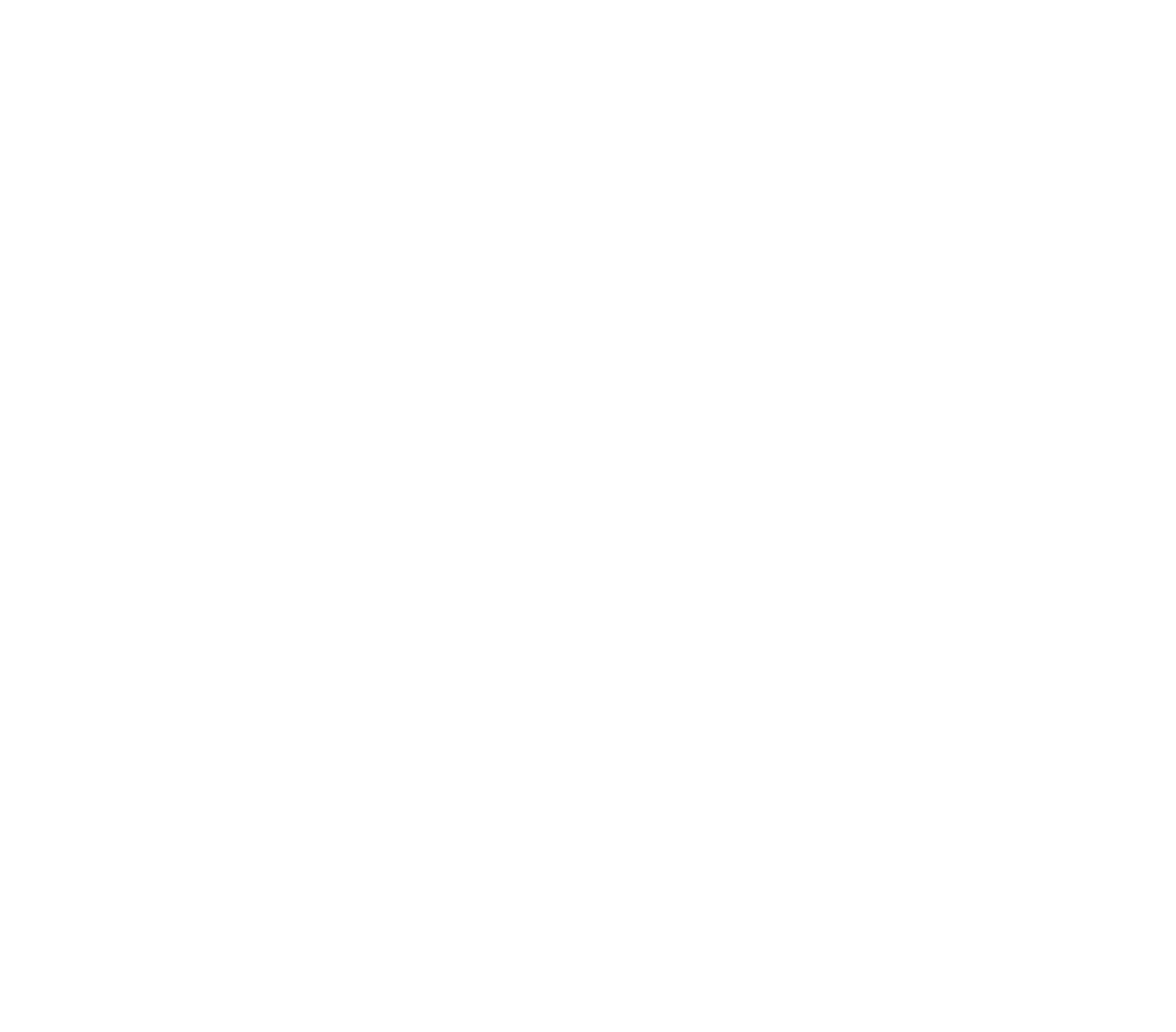 Logo Rhizome IT — Symbole · blanc