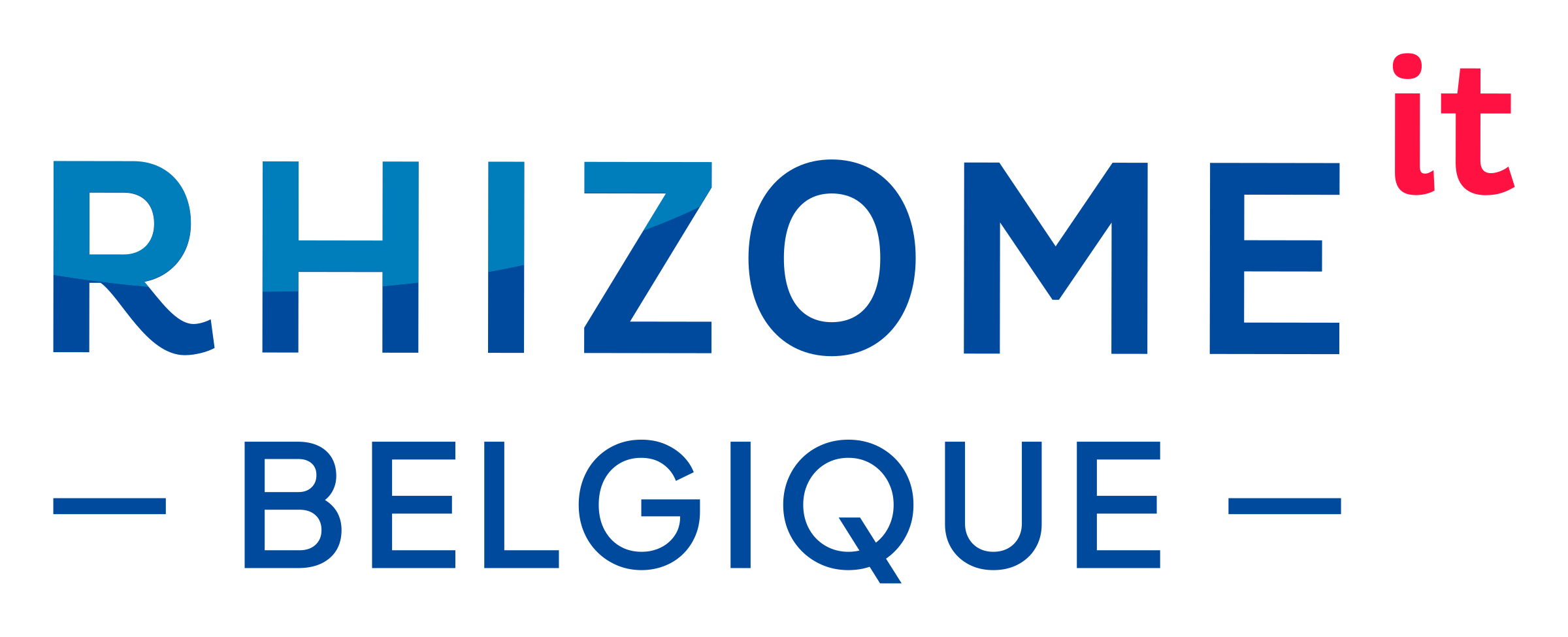 Logo Rhizome IT — Nom + Belgique
