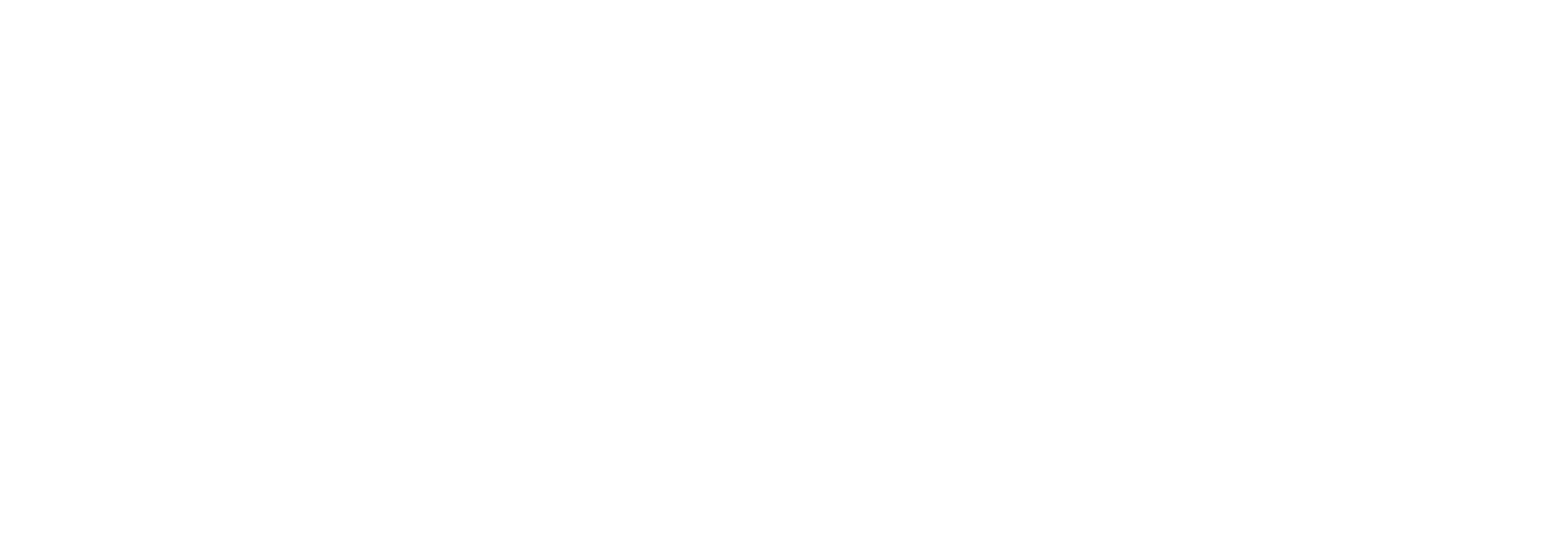 Logo Rhizome IT — Nom · blanc