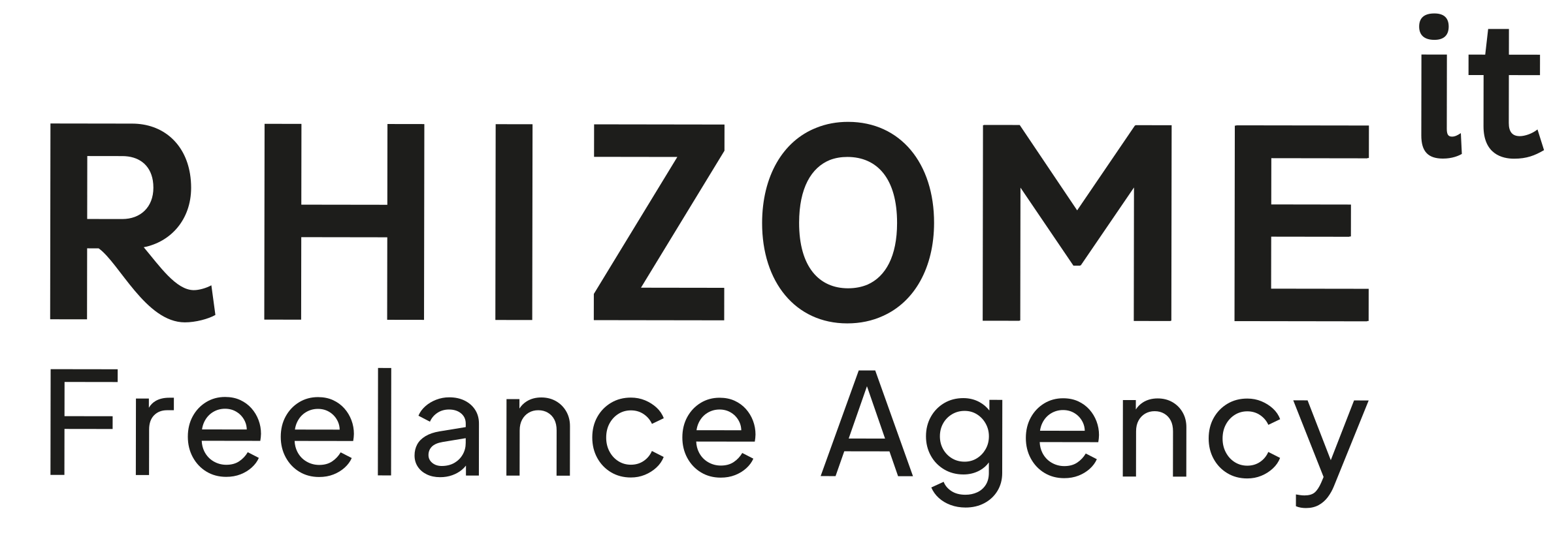 Logo Rhizome IT — Nom · noir