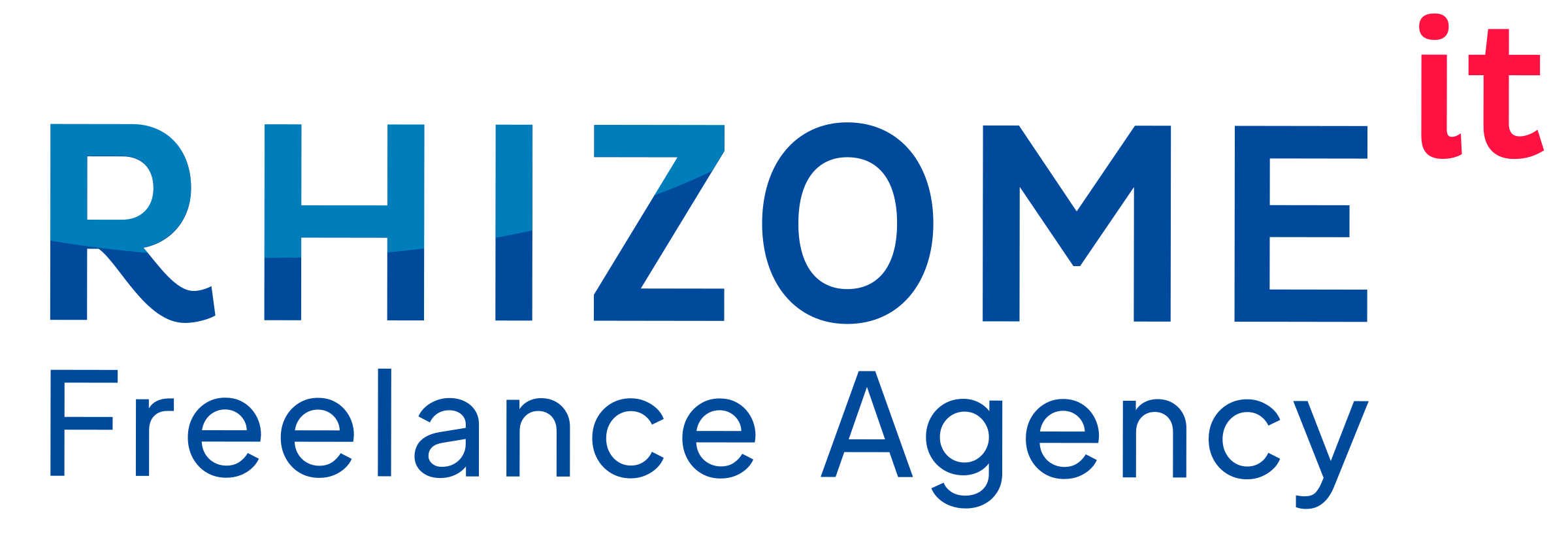 Logo Rhizome IT — Nom · couleur